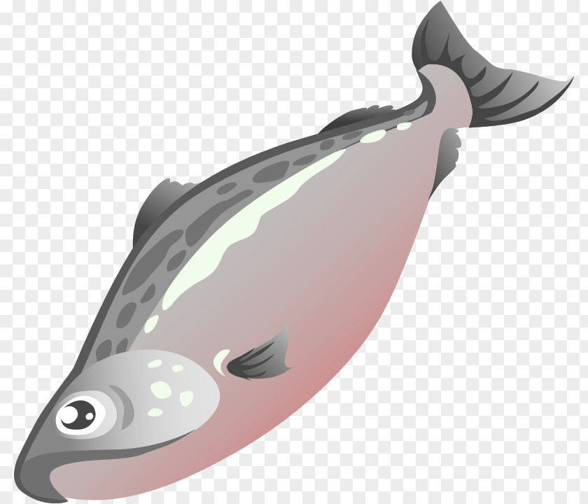 Cute Salmon Cliparts Fish Clip Art PNG