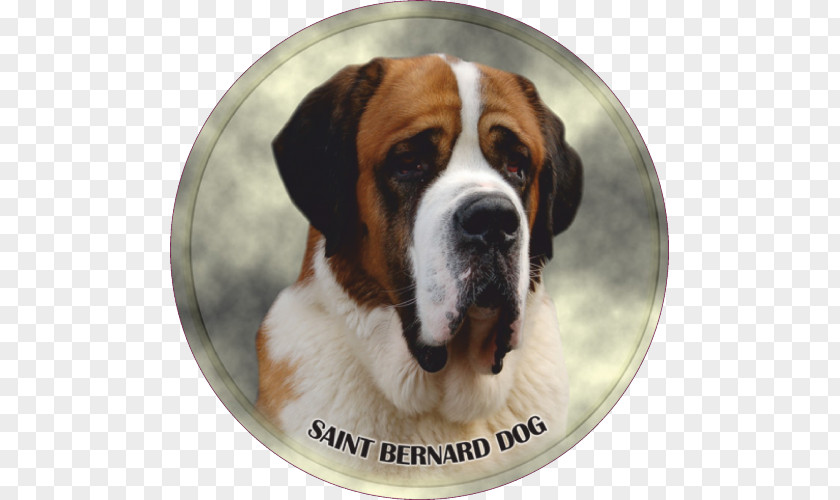 Puppy St. Bernard Dog Breed Rottweiler PNG