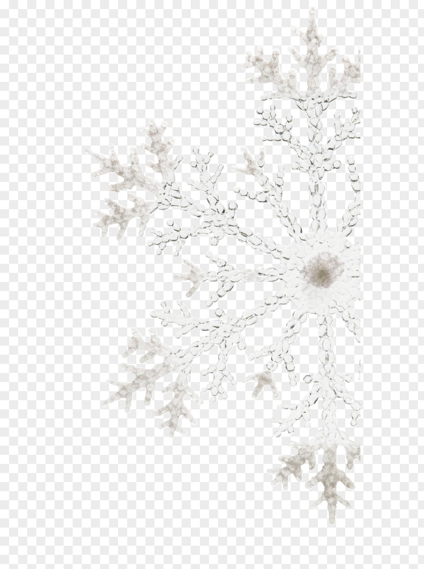 Sparkling Snowflakes Snowflake / Transparent Stock Photography PNG
