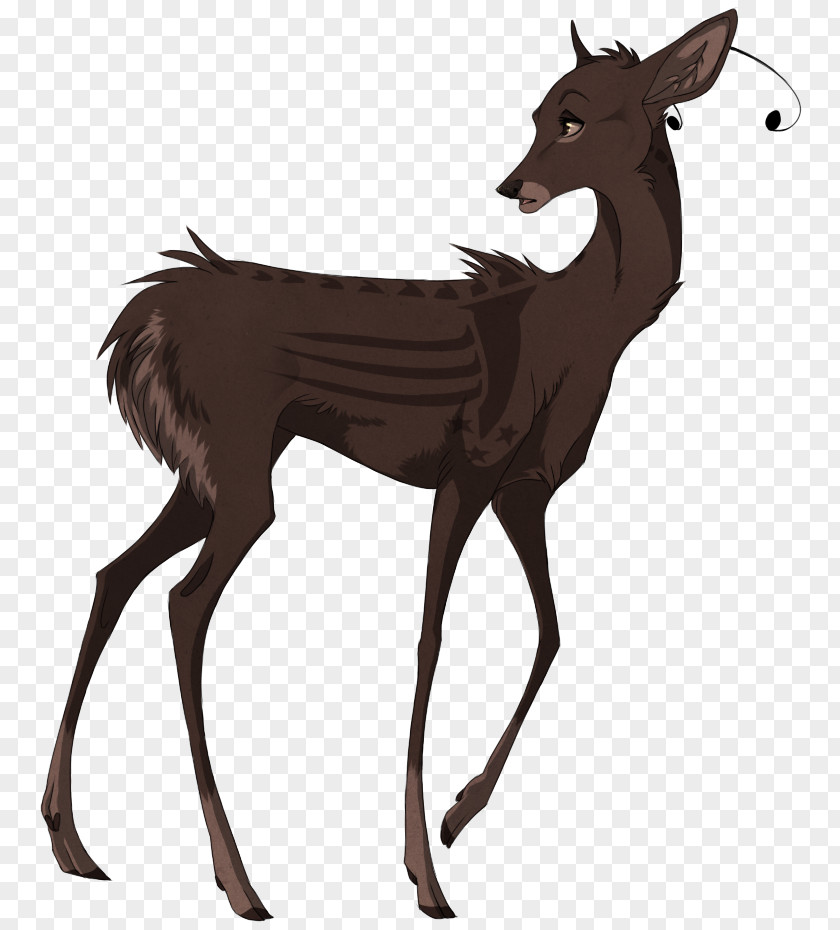 Underbrush Elk Reindeer Musk Deer White-tailed PNG