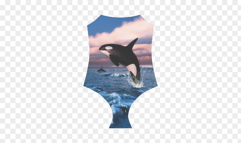 Whale Watercolor Killer Blanket Dolphin Cetacean Surfacing Behaviour PNG