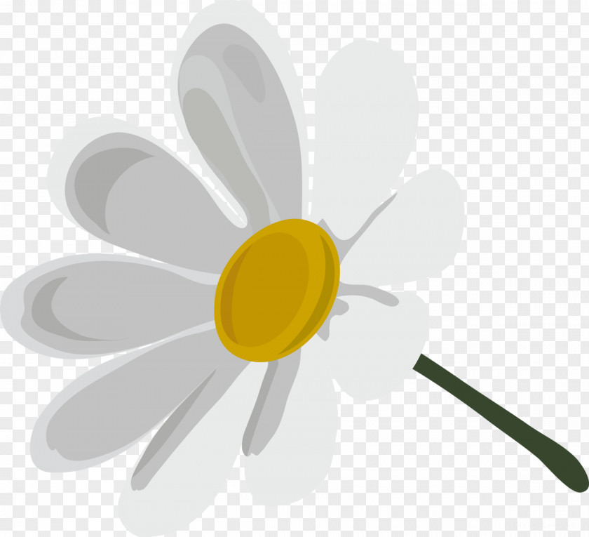 Camomile Flower Advertising Yellow Clip Art PNG