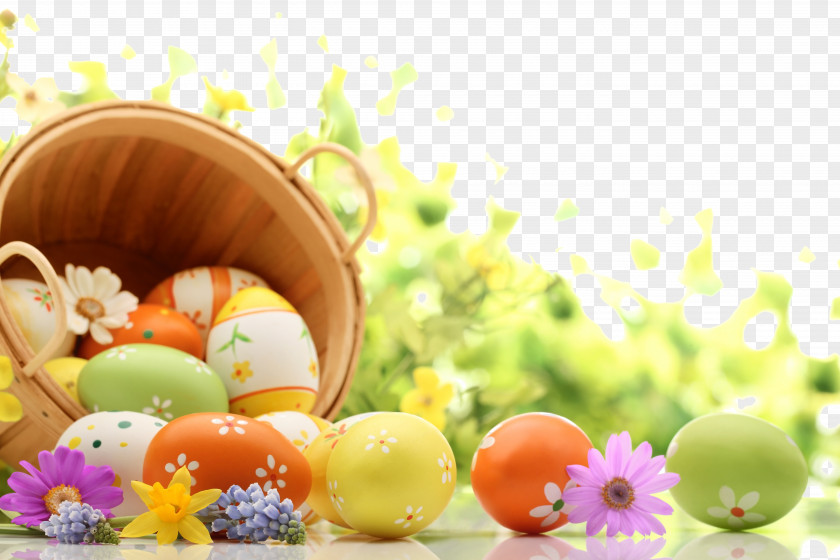 Exquisite Easter Ad Elements Bunny Happiness High-definition Television Wallpaper PNG