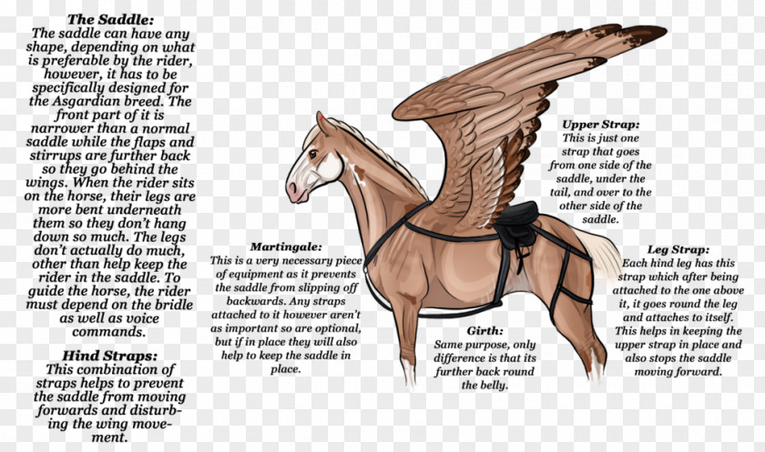 Horse Saddle Pony Drawing Rein PNG