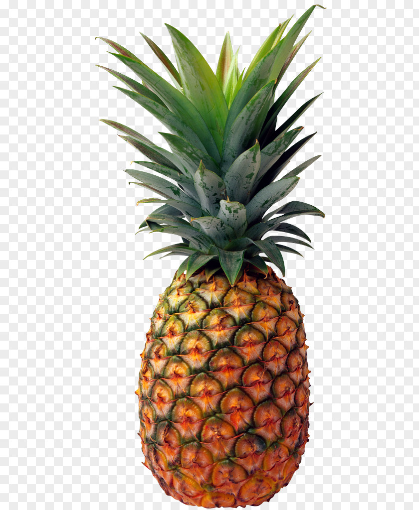 Pineapple Piñatex Clip Art PNG