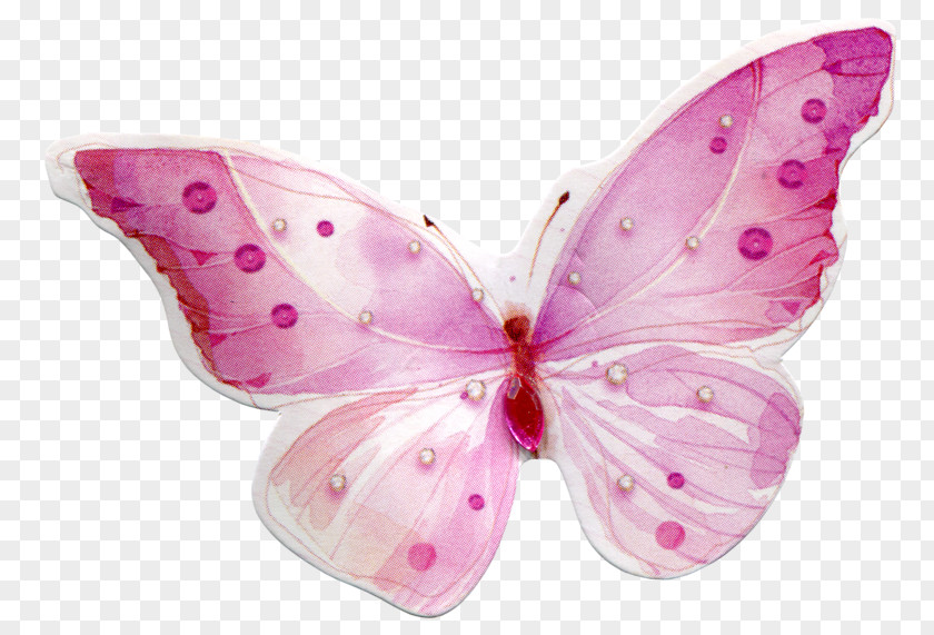 Pink Butterfly Clip Art PNG