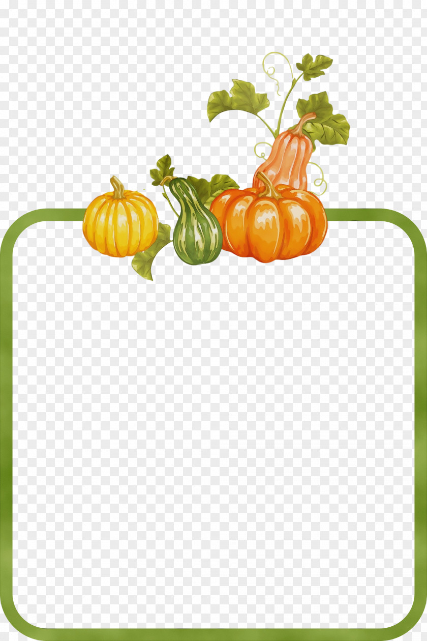 Tomato PNG