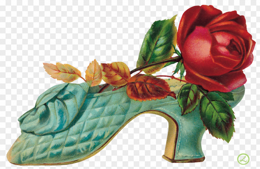 Vintage Flowers Flower Garden Roses Footwear Floral Design PNG