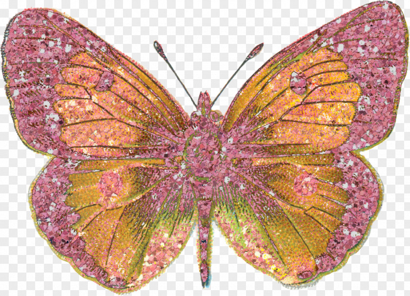 Bling Butterfly Insect Scrapbooking Embellishment PNG
