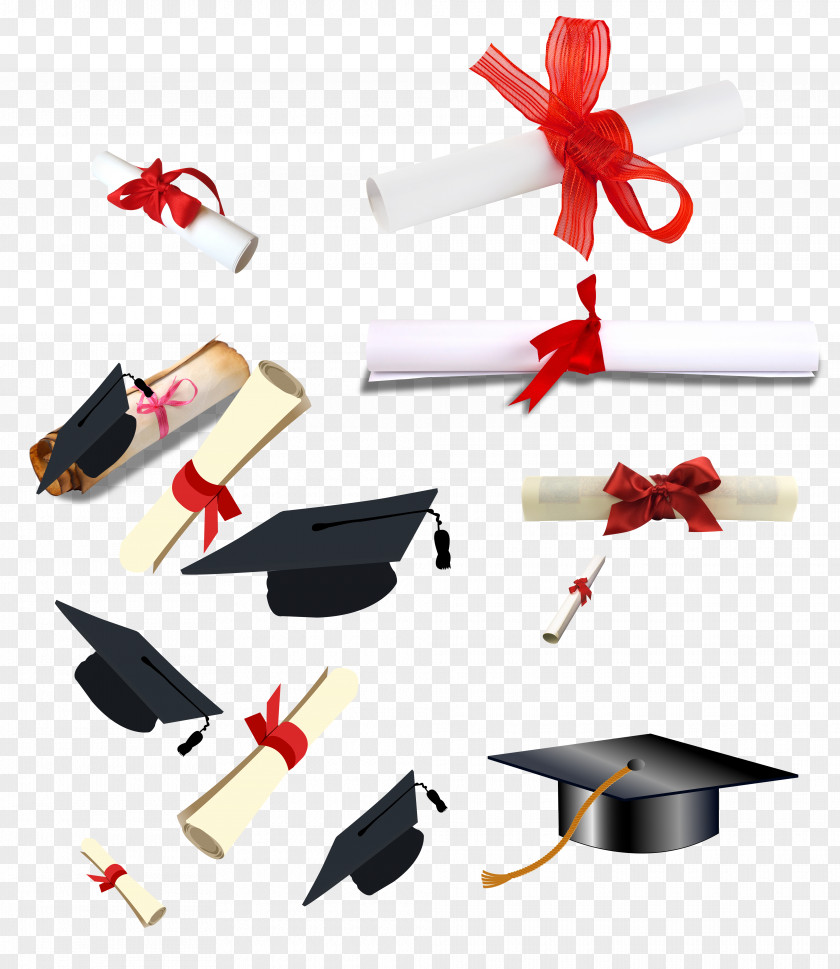 Dr. Cap Graduation Ceremony Diploma Academic Certificate Bachelors Degree PNG