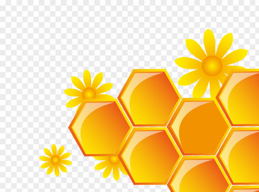 Honey Grid Honeycomb Yellow PNG