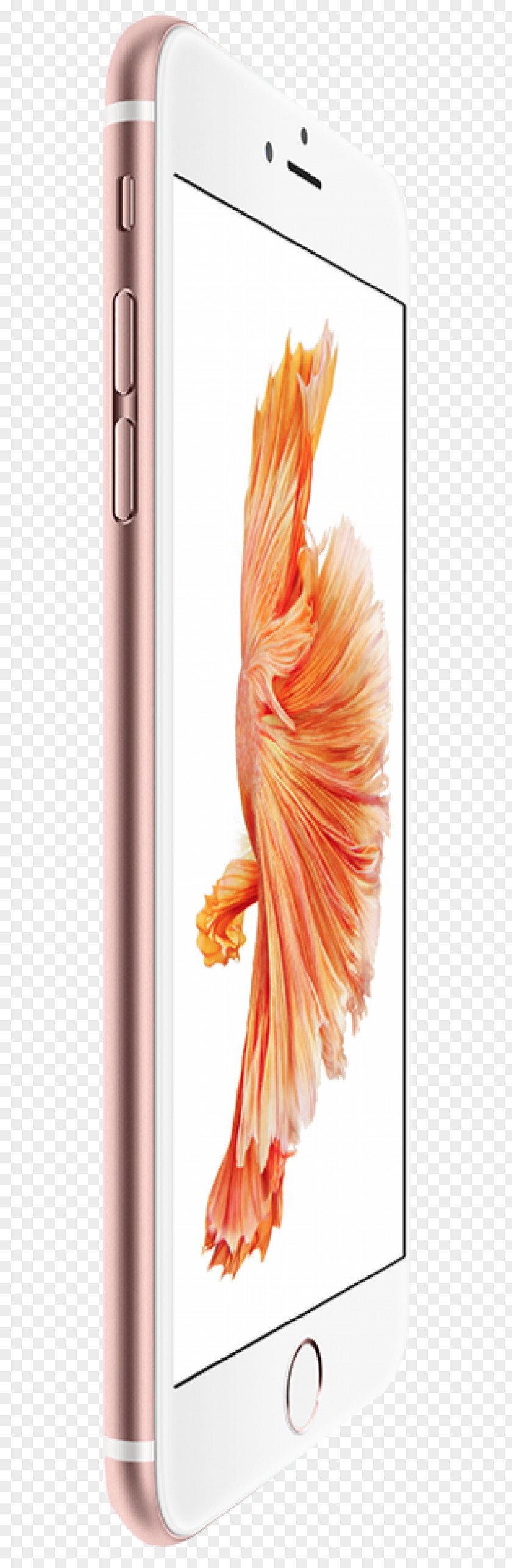 Iphone Apple IPhone 6 Plus 6s 8 7 PNG