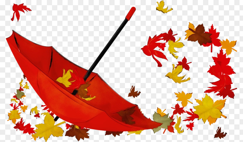 Plant Red Flag Autumn Leaf Drawing PNG