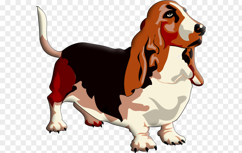 Puppy Basset Hound Clip Art PNG