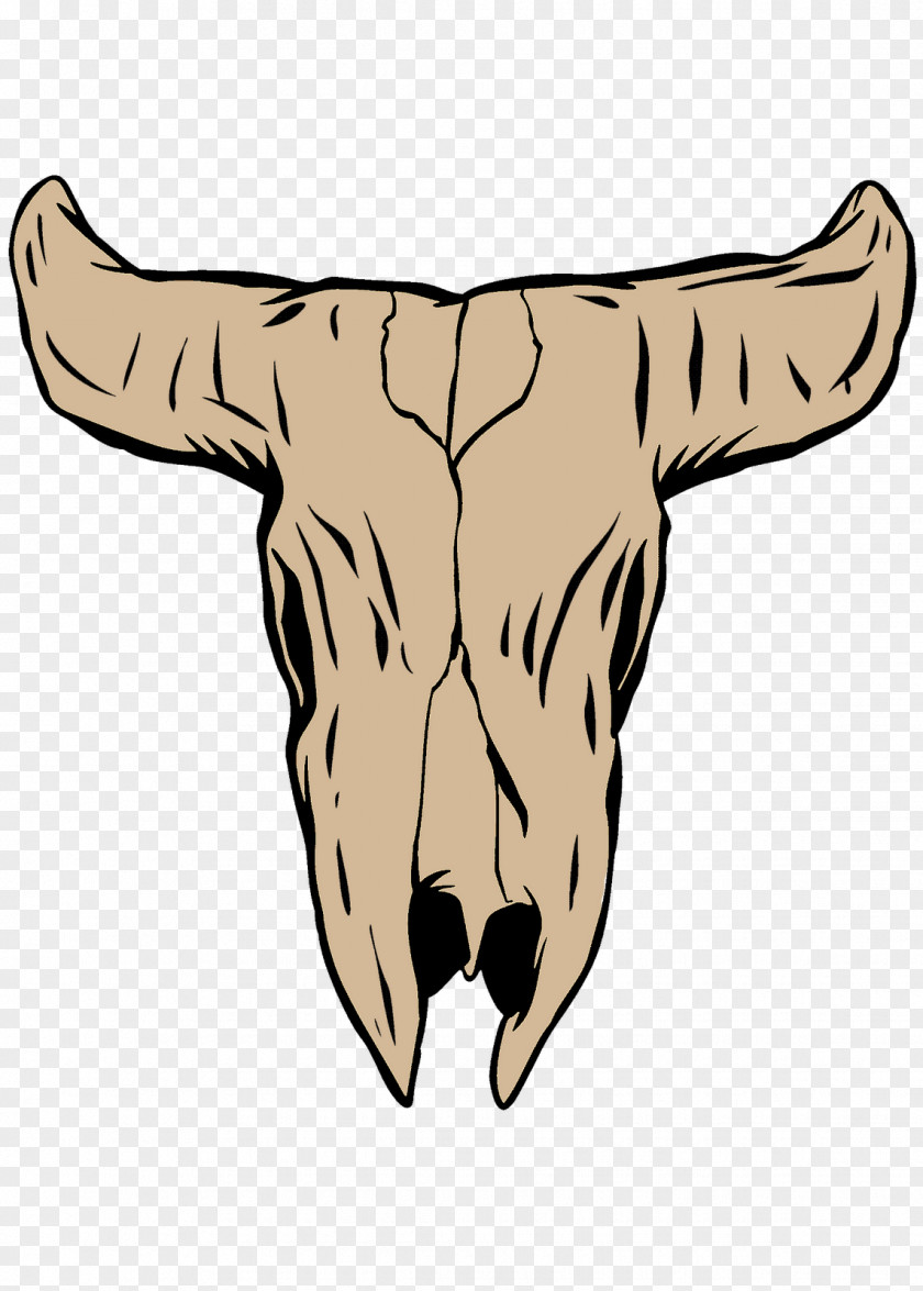 Animal Skull Cattle Midnight Art Time PNG