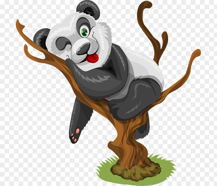 Bear Red Panda Giant Clip Art Cuteness PNG