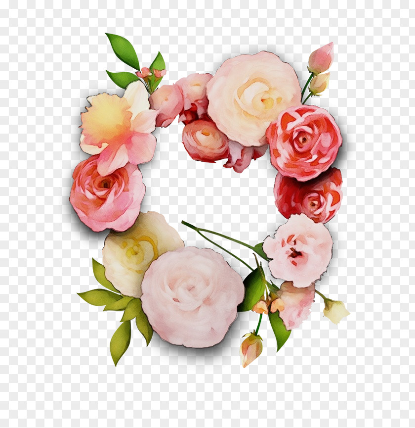 Camellia Blossom Pink Flower Cartoon PNG