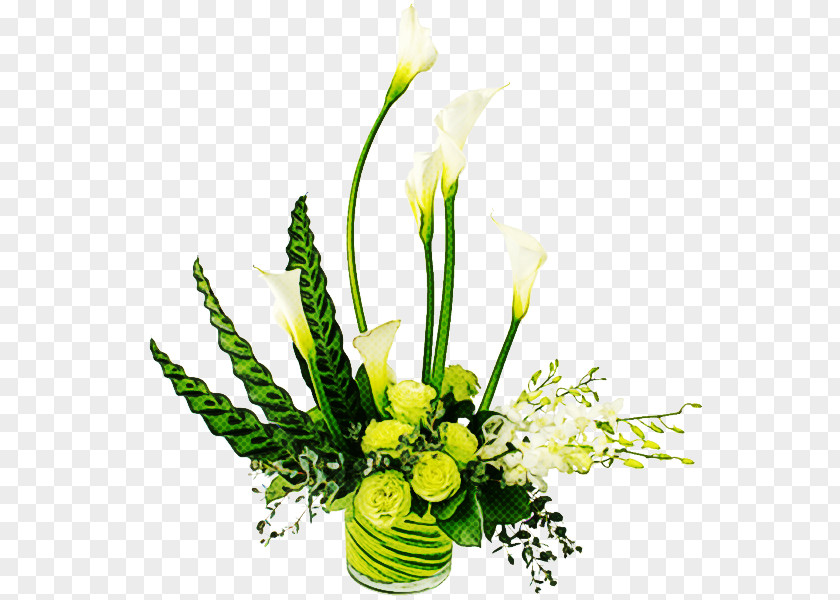 Floral Design PNG