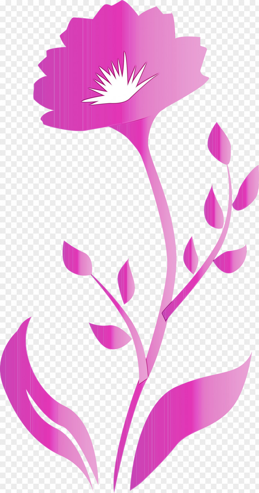 Pink Pedicel Plant Flower Magenta PNG