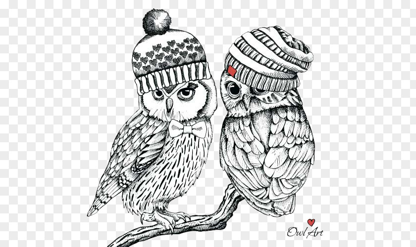 Dai Owl Little Bird Illustration PNG