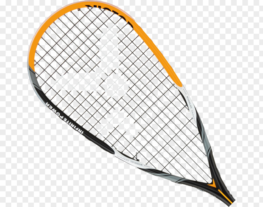 International Squash Court Dunlop Srixon Revo CV Tennis Racquet Biomimetic Elite GTS Racket By 3.0 F Tour PNG