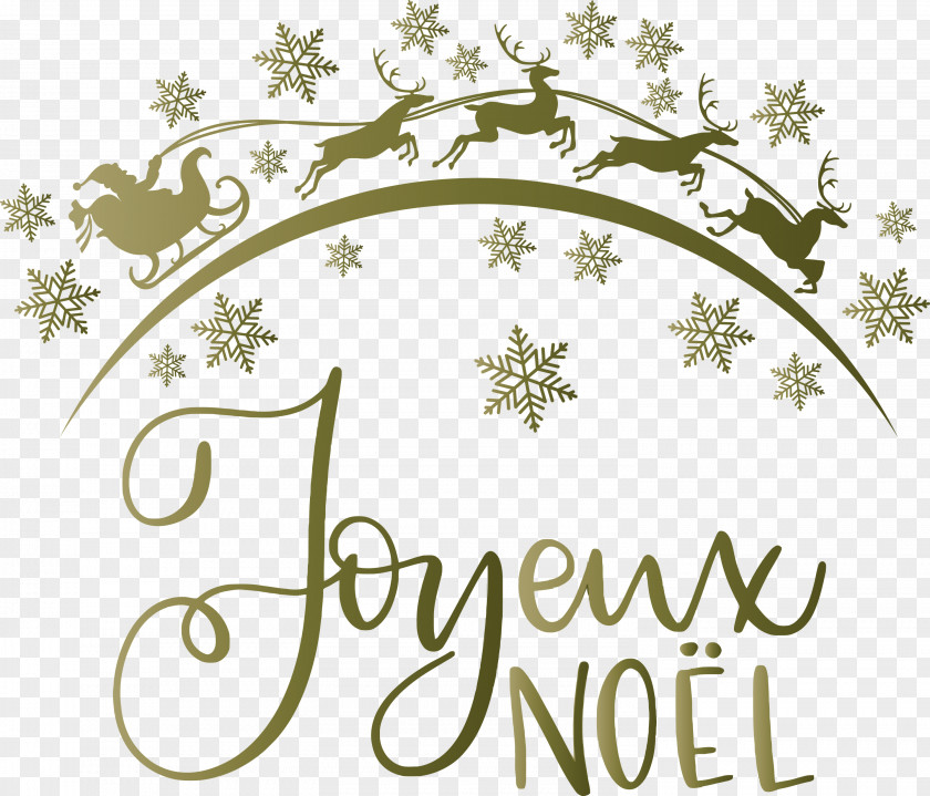 Noel Nativity Xmas PNG