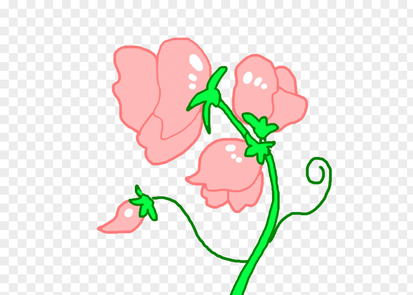 Peas Floral Design Flower Sweet Pea Tulip Ipomoea Nil PNG