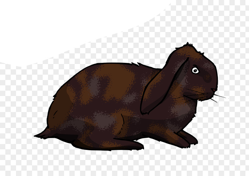 Rabbit Domestic Hare Rodent Whiskers Snout PNG