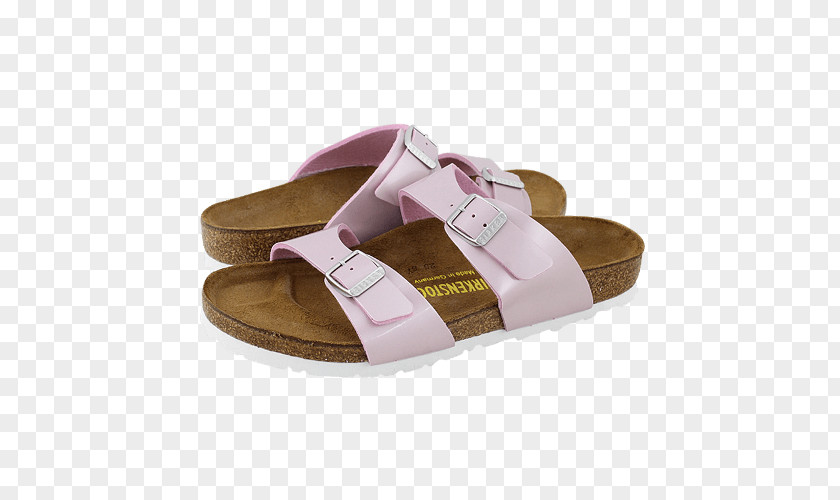 Sandal Slide Shoe Walking PNG