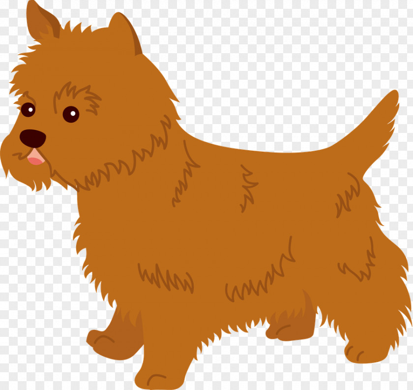 Scottish Terrier Dandie Dinmont Tangled Background PNG
