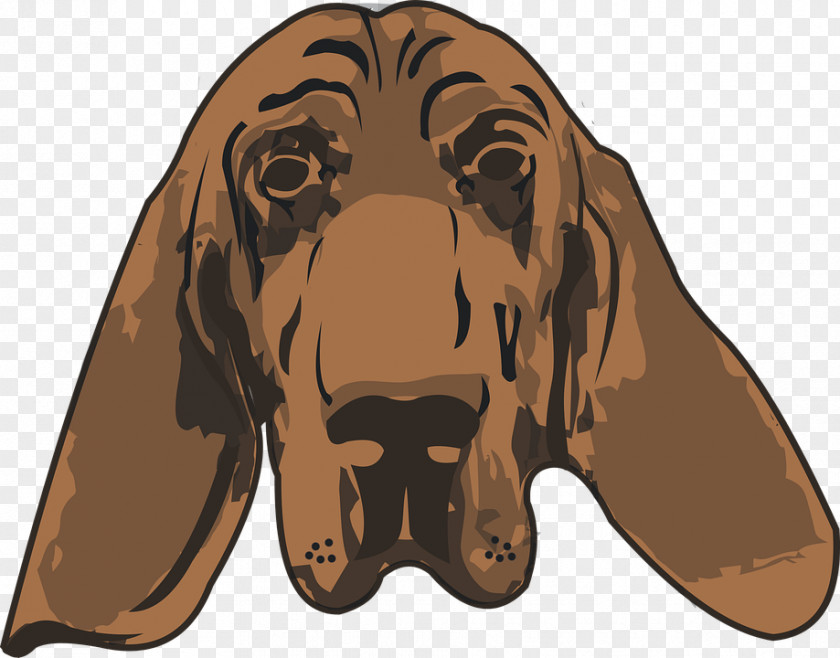 Dog Avatar Bloodhound Harrier Puppy Illustration PNG