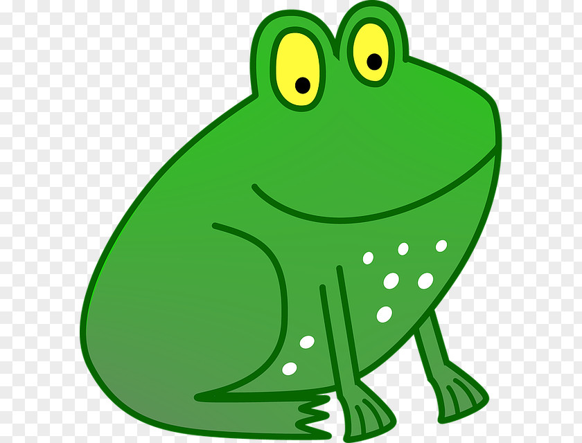 Frog True Toad Tree Clip Art PNG
