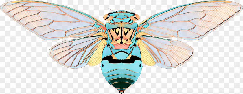Membranewinged Insect Fly Butterfly PNG