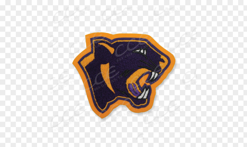 Panther Mascot Ashdown High School National Secondary Arkansas Image PNG