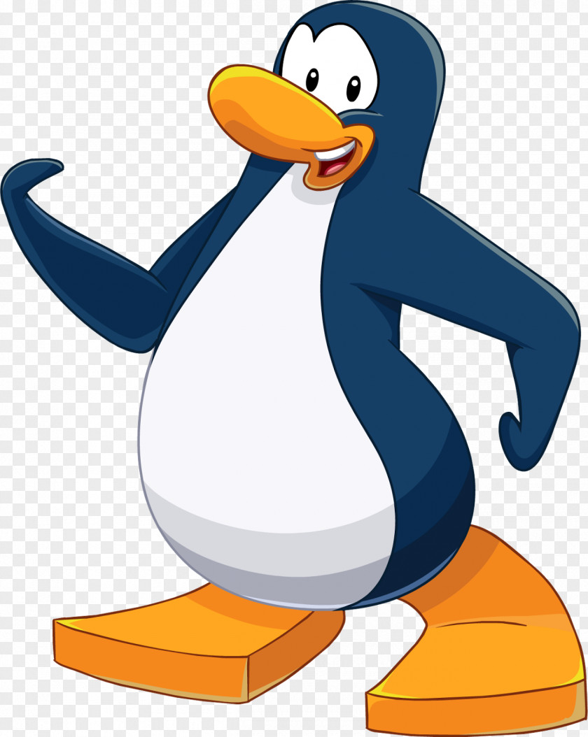 Penguin Goose Cygnini Clip Art Duck PNG