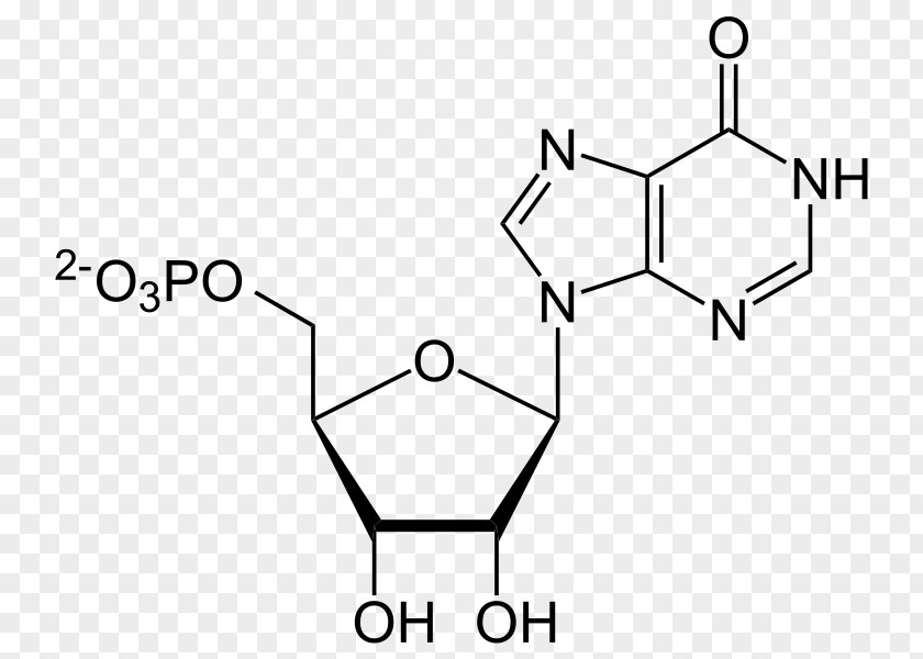 777 Adenosine Triphosphate Monophosphate Adenine Inosinic Acid PNG