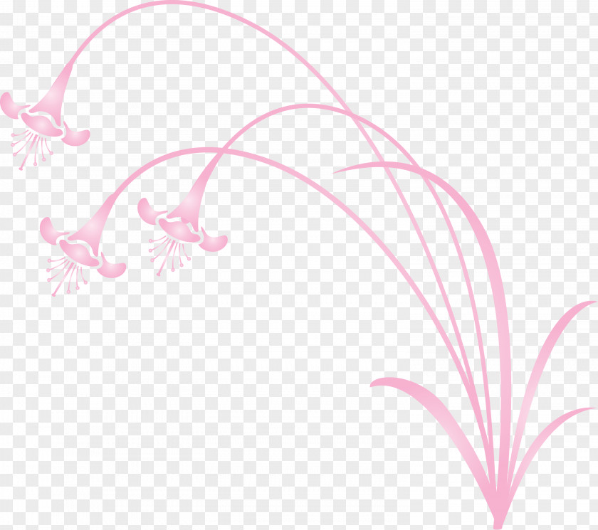 Flower Frame Decoration PNG