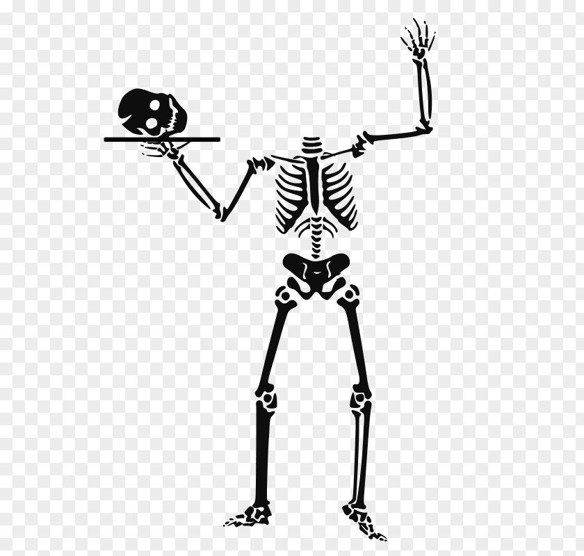 Halloween Black Vector Graphics Clip Art Skeleton Skull Image PNG