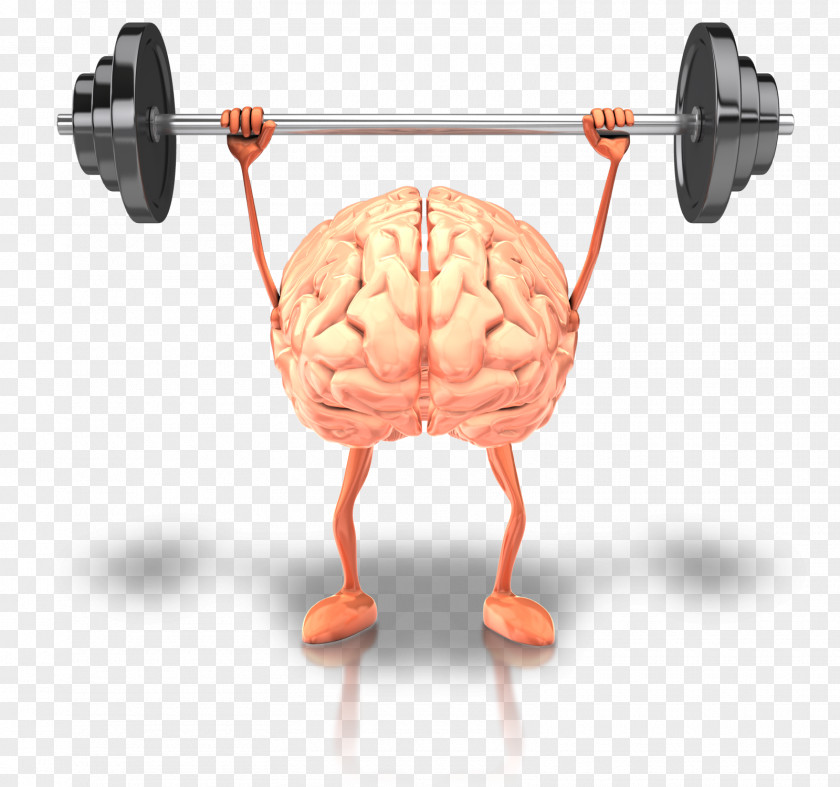 Mind Brain Health Fish Oil Physical Exercise Human Body PNG