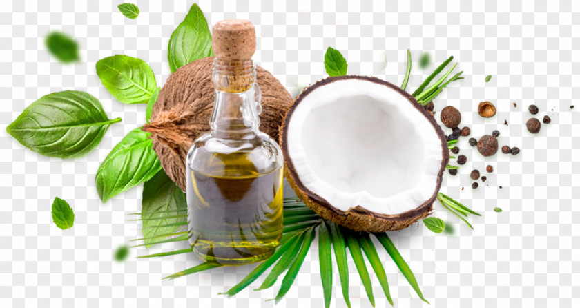 Oil Coconut Cooking Oils Milk PNG