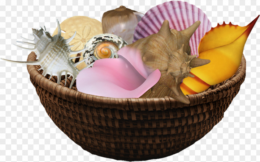 Sea Food Gift Baskets AVENTURA TRAVEL, туристическое агентство Clip Art PNG