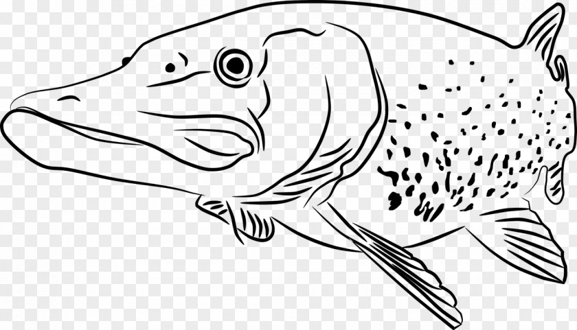 Bonyfish Rayfinned Fish Fishing Cartoon PNG