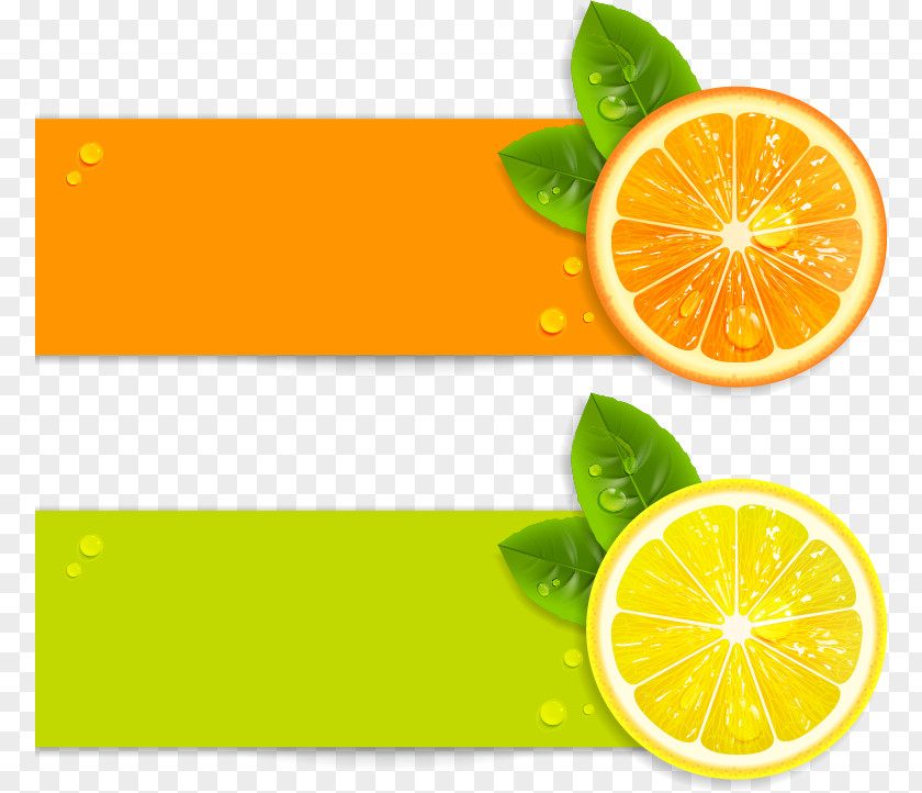 Fresh Lemon Orange Fruit Vector Material Juice Royalty-free Illustration PNG