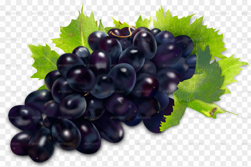 Grape Sultana Zante Currant Grapevines Seedless Fruit PNG