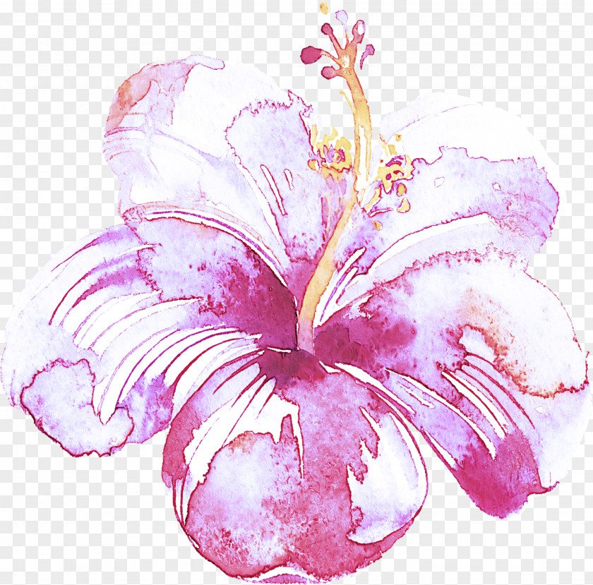 Hibiscus Pink Hawaiian Flower Petal PNG