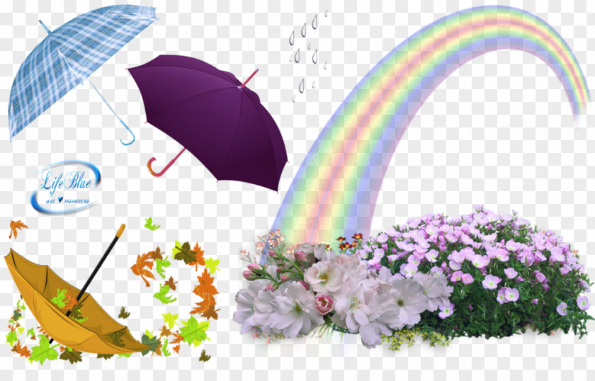 Umbrella Floral Design Rain Icon PNG