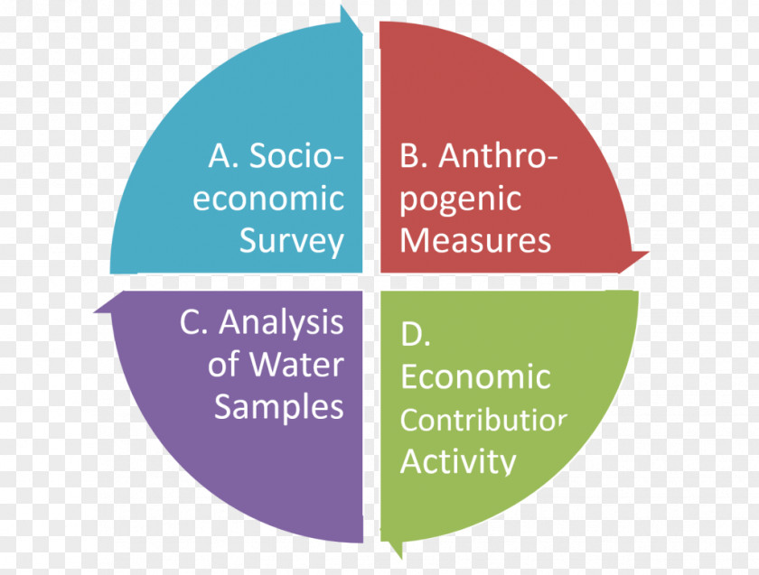 Business Project Management PDCA Marketing PNG