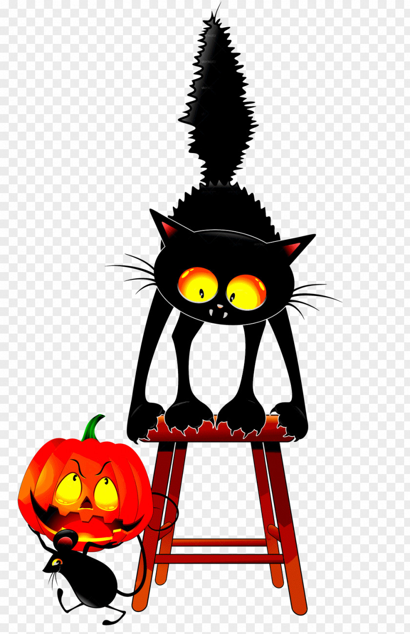 Cat Black Mouse Wildcat PNG