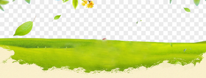 Green Grass U571fu5de5u5e03 Euclidean Vector PNG