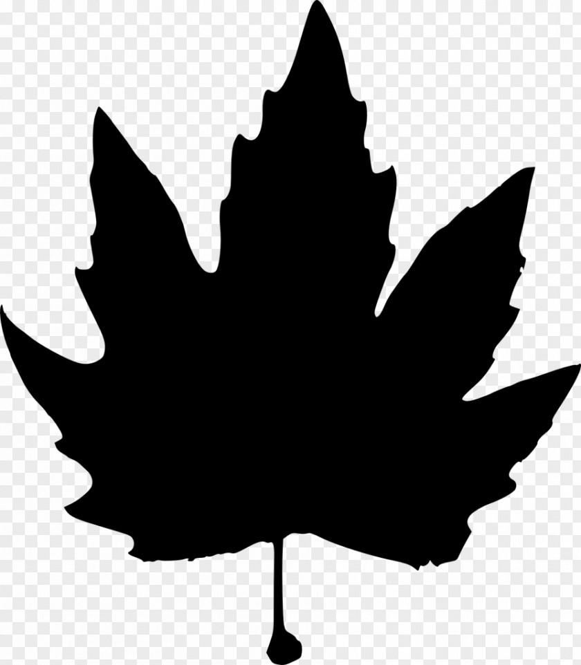 Leaf Silhouette Clip Art Desktop Wallpaper PNG